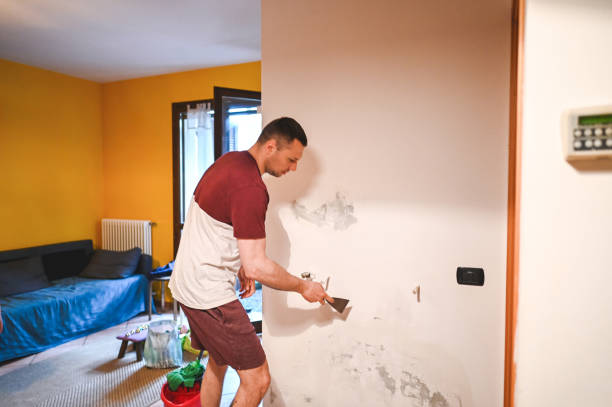 Best Black Mold Removal  in Columbus Grove, OH